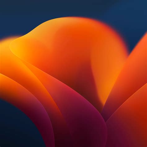 Download macOS Ventura Wallpapers [5K Resolution] (Official).